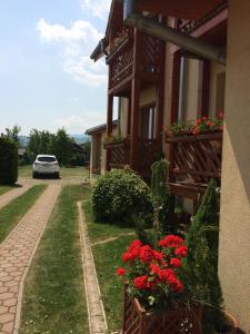 斯米扎尼埃琳娜别墅旅馆的旁边是一座红花的房子