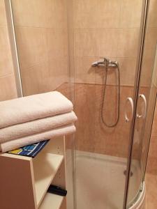 斯米扎尼埃琳娜别墅旅馆的带淋浴的浴室和玻璃门
