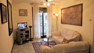 阿西西阿西西安杰利公寓的带沙发和电视的客厅