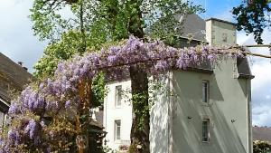 La ChèzeChâteau Bily B&B Hôtel的挂在建筑物上的紫色花环