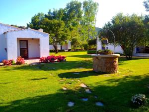 圣特奥多罗李司考匹乡村民宿的一个带小房子和喷泉的院子