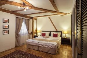 布拉索夫波茨坦旅馆的一间卧室配有一张带红色枕头的大床