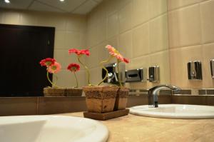 扬博尔Riverside Family Hotel的浴室设有水槽和鲜花镜子