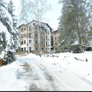 兹拉蒂博尔Apartment Laki的一座建筑物前有鸟儿的雪覆盖的街道