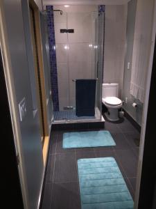 渥太华松树景别墅的带淋浴和卫生间的浴室以及蓝色地毯。