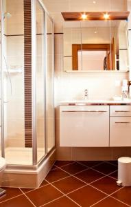 巴德小基希海姆豪斯娜佳公寓的带淋浴、盥洗盆和卫生间的浴室