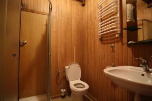 斯拉夫西克Blizzard的一间带卫生间和水槽的浴室