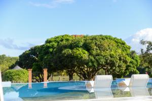 帕里普埃拉Fazenda Fiore Resort的一个带两把白色椅子的游泳池