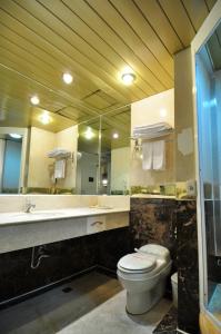 台北和怡商旅 (原法皇)的一间带卫生间、水槽和镜子的浴室