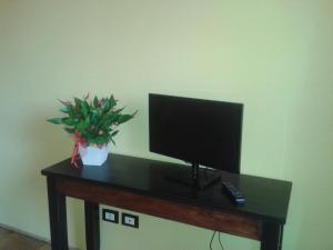 BasilianoFriulmarangon的一张桌子,上面有一台电视和盆栽植物