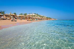 沙姆沙伊赫塔玛拉海滩度假酒店的海滩上设有椅子和遮阳伞,水面