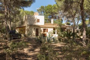 圣弗朗西斯科哈维尔Residence Can Confort Formentera的森林中的房子