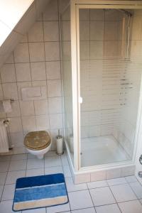 普雷罗Am Bernsteinweg的带淋浴和卫生间的浴室