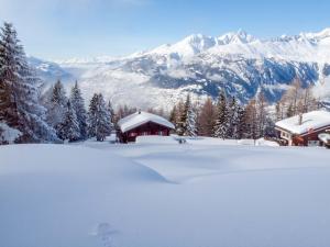 RosswaldChalet Panorama的山底雪中小屋