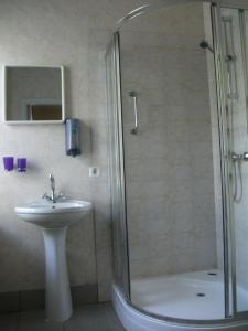 叶卡布皮尔斯达嘎克拉斯迪酒店的带淋浴和盥洗盆的浴室