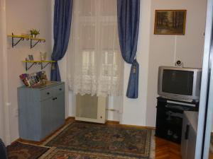 布达佩斯布达佩斯乔伊公寓的一间带电视和窗户的客厅