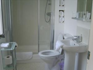 柯科迪埃尔伯客房宾馆的浴室配有卫生间、盥洗盆和淋浴。