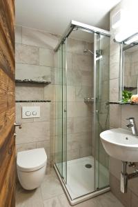 采尔马特Studio Castor Zermatt的带淋浴、卫生间和盥洗盆的浴室