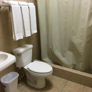 圣胡安柏林昆海滩酒店的浴室设有卫生间和带毛巾的淋浴。
