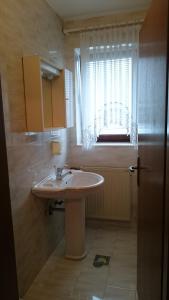 Apartment Vrtacnik的一间浴室