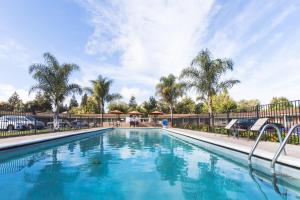 普莱森顿三谷旅馆&套房酒店的棕榈树度假村的游泳池