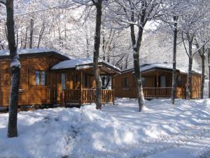恩特拉奎Campeggio Valle Gesso的雪中树林里的小木屋