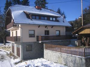 Resnik帕克尼克游客农场旅馆的雪中带蓝色屋顶的房子