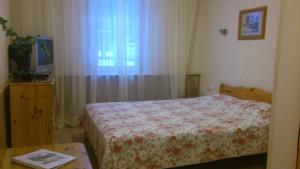 纳尔瓦约埃苏瓦伦蒂娜帕思奈特酒店的一间卧室设有一张床、一台电视和一个窗口。