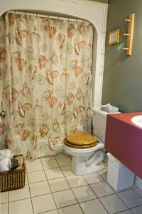 Pubnico叶奥尔德阿吉乐山林小屋的浴室配有带浴帘的卫生间