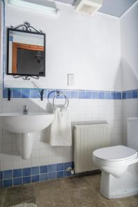 德鲁西亚Sappho Manor House的浴室配有白色卫生间和盥洗盆。
