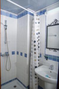 德鲁西亚Sappho Manor House的一间带水槽和淋浴的浴室