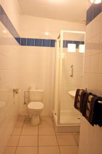 马尔德海姆菲立普斯瓦卡帖霍夫酒店的浴室配有卫生间、淋浴和盥洗盆。