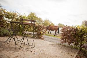 De BusBed & Breakfast de Bimd Hoeve的站在田野上的椅子和马