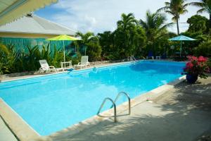 哥西尔Hotel Cap Sud Caraibes的一个带椅子和遮阳伞的大型蓝色游泳池