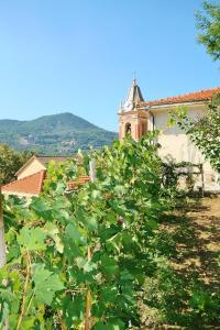 诺利Agriturismo Costamagna的建筑前的植物群