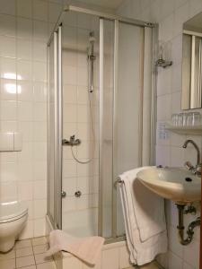 舒奥弗灵多勒霍夫兰德酒店的带淋浴、盥洗盆和卫生间的浴室