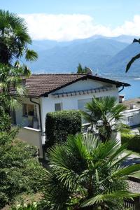 洛迦诺Casa Angela的一座棕榈树和山脉环绕的白色房子