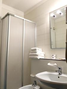 雷杰洛艾樱桃酒店的带淋浴、盥洗盆和卫生间的浴室