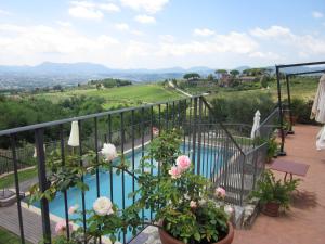 卢卡圣彼得泰努塔豪华酒店的享有游泳池和鲜花景致的阳台