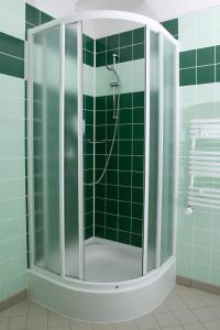 利特威诺夫Hotel Emeran的绿色瓷砖浴室内带玻璃门的淋浴