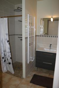杜尔哈克Etape Cathare的一间带水槽和淋浴的浴室