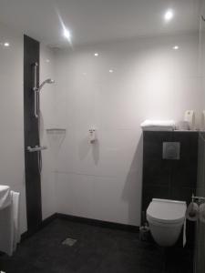 卢特伦雨果·德弗里斯公园酒店的一间带卫生间和淋浴的浴室