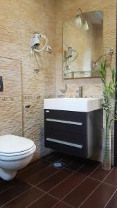 斯韦蒂·斯特凡Apartments Rino Lux的一间带卫生间、水槽和镜子的浴室