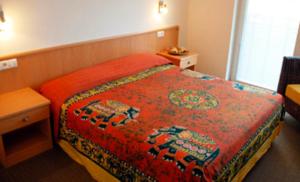 布列瑟农克雷莫纳加尼旅馆的酒店客房,配有一张带红色毯子的床