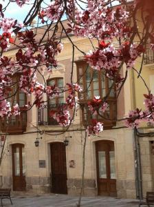 卡斯特罗赫里斯波萨达印象酒店的前面有粉红色花的建筑