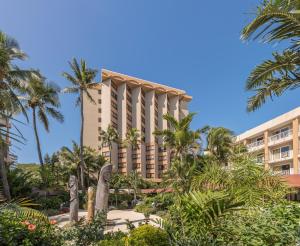 努美阿诺瓦塔酒店的前面有棕榈树的酒店