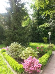 巴登-巴登Apartment near Villa Turgenev的院子里种着粉红色花的花园