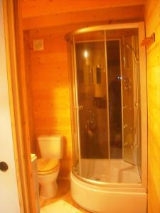 米茹蒙茨朱拉木屋的带淋浴和卫生间的浴室