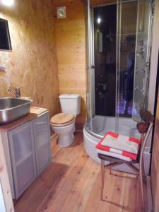 米茹蒙茨朱拉木屋的带淋浴、卫生间和盥洗盆的浴室