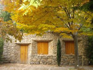 托雷斯La Casita的一座石头建筑,有两扇门,一棵树